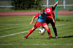 星空体育在线入口-体育赛事志愿者管理及培训体系建设，体育赛事志愿者的工作要求